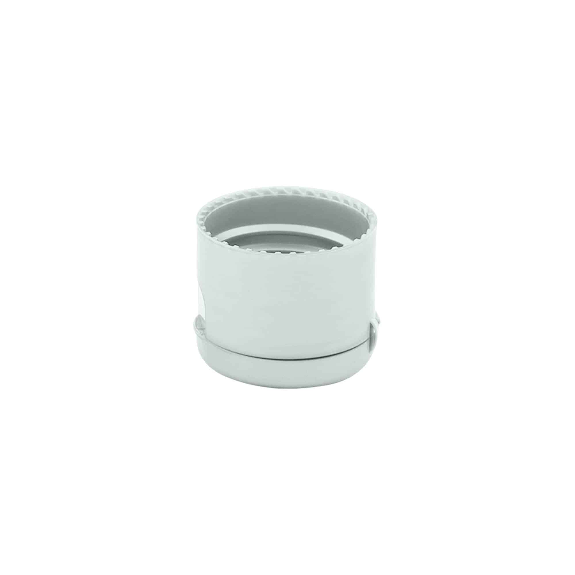 Schraubverschluss Klappscharnier , PP-Kunststoff, silber, für Mündung: 24/410